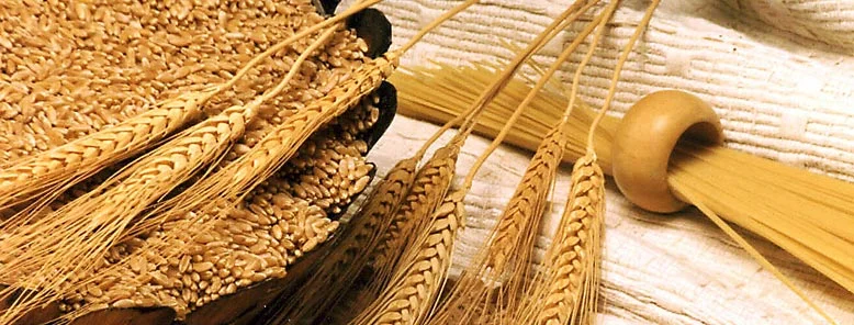 rice3