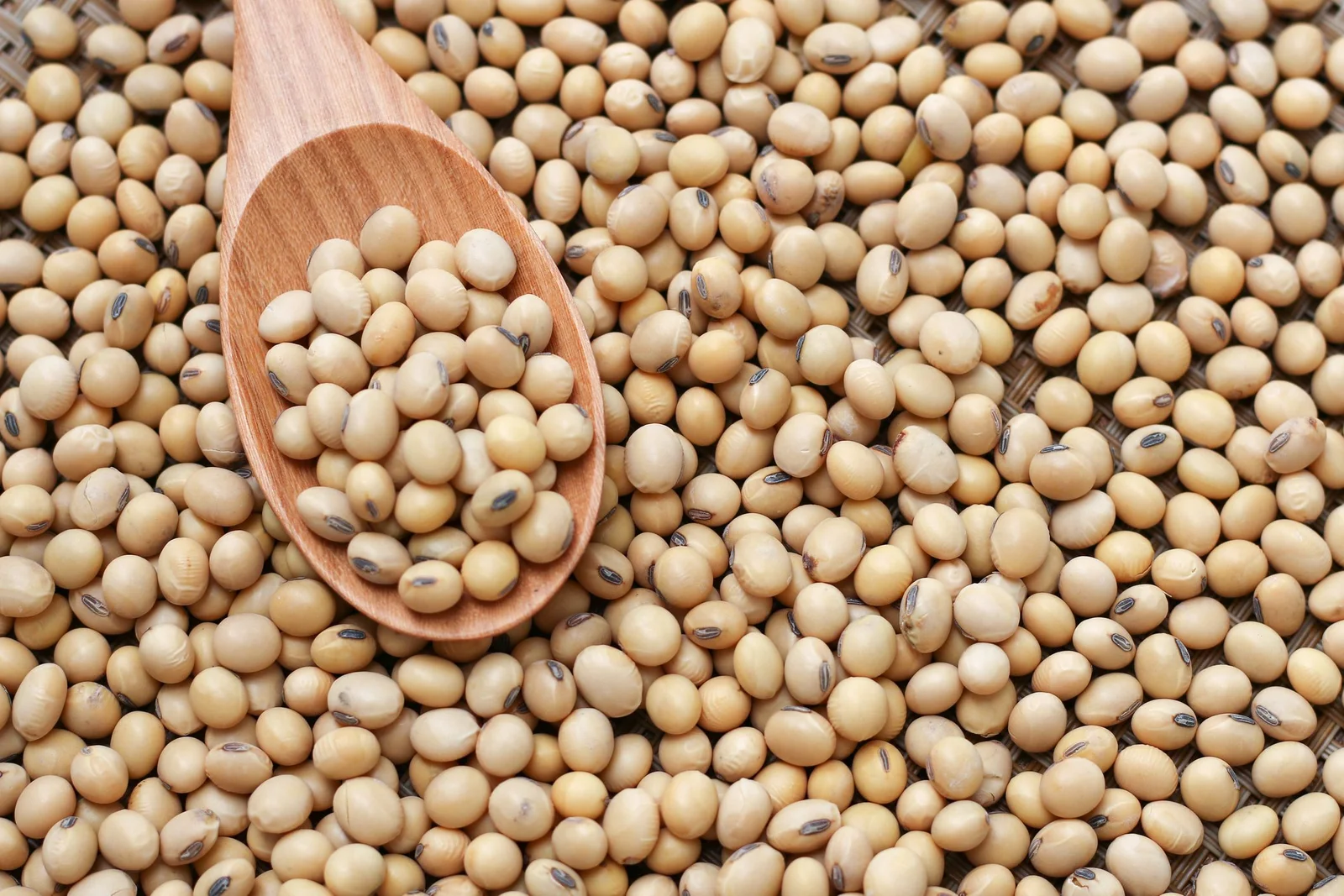soyabeans