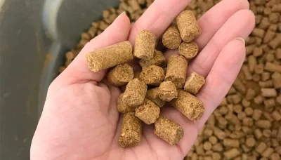 49-canola-meal-project-SK-stockgrowers