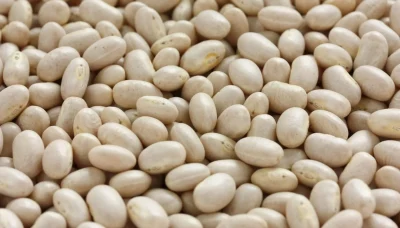 Substitute-for-Navy-Beans