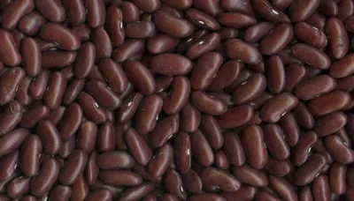 dark_red_kidney_big