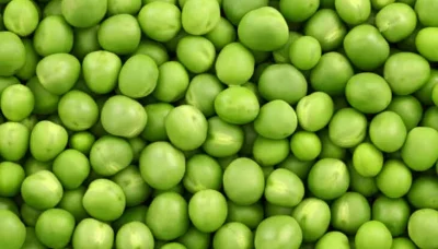 green-peas-thumb-1-732x549-1