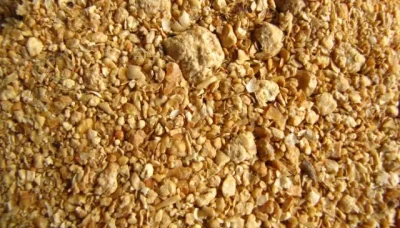 soybean_meal_IMG_6231