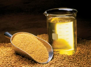 soybean_oil_meal_beans_0