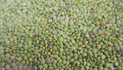whole-split-Lentils-Red-Lentils-Green-Lentils-5